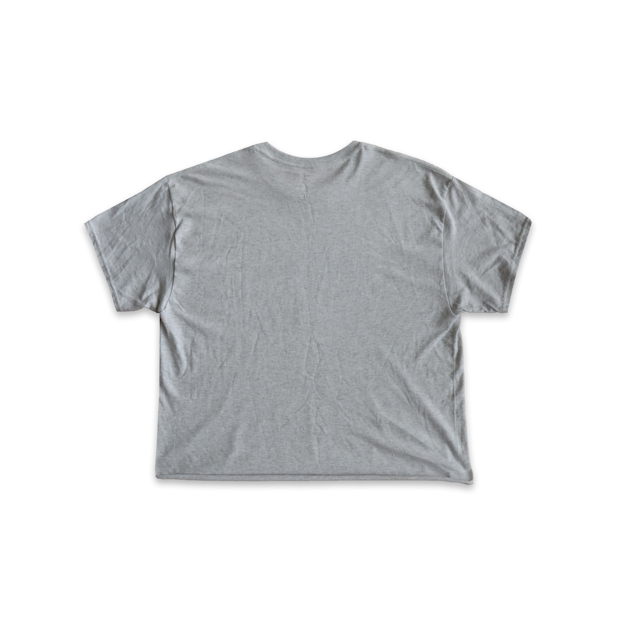 ARCH LOGO BOXY TEE (ASH)